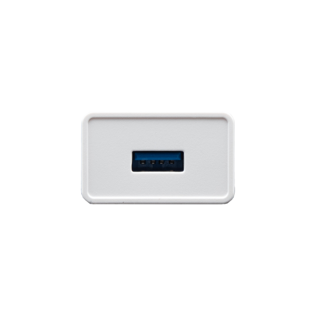 CARGADOR para motores a BATERIA  5v A-OK Linea AM28 y AM43