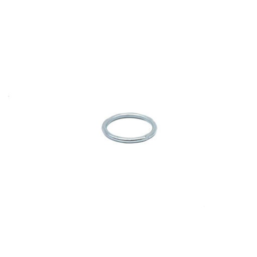 [TTP0001] Argolla nro 22